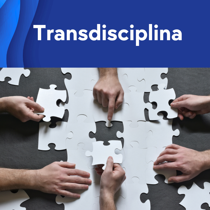 Transdisciplina
