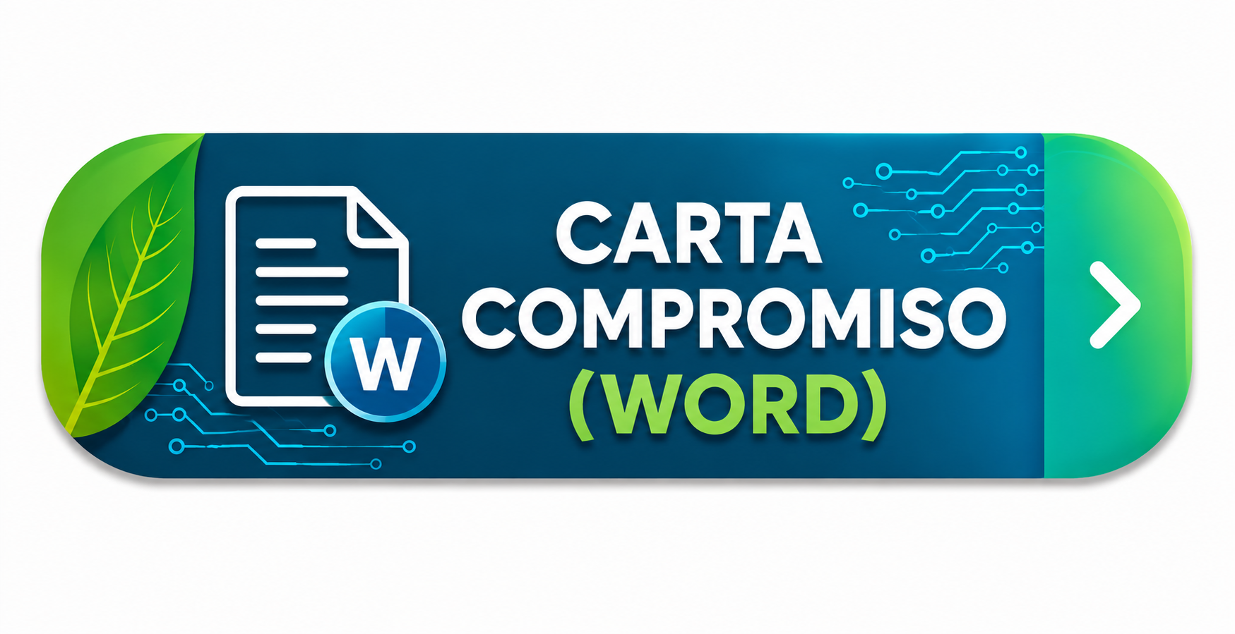CartaCompromiso