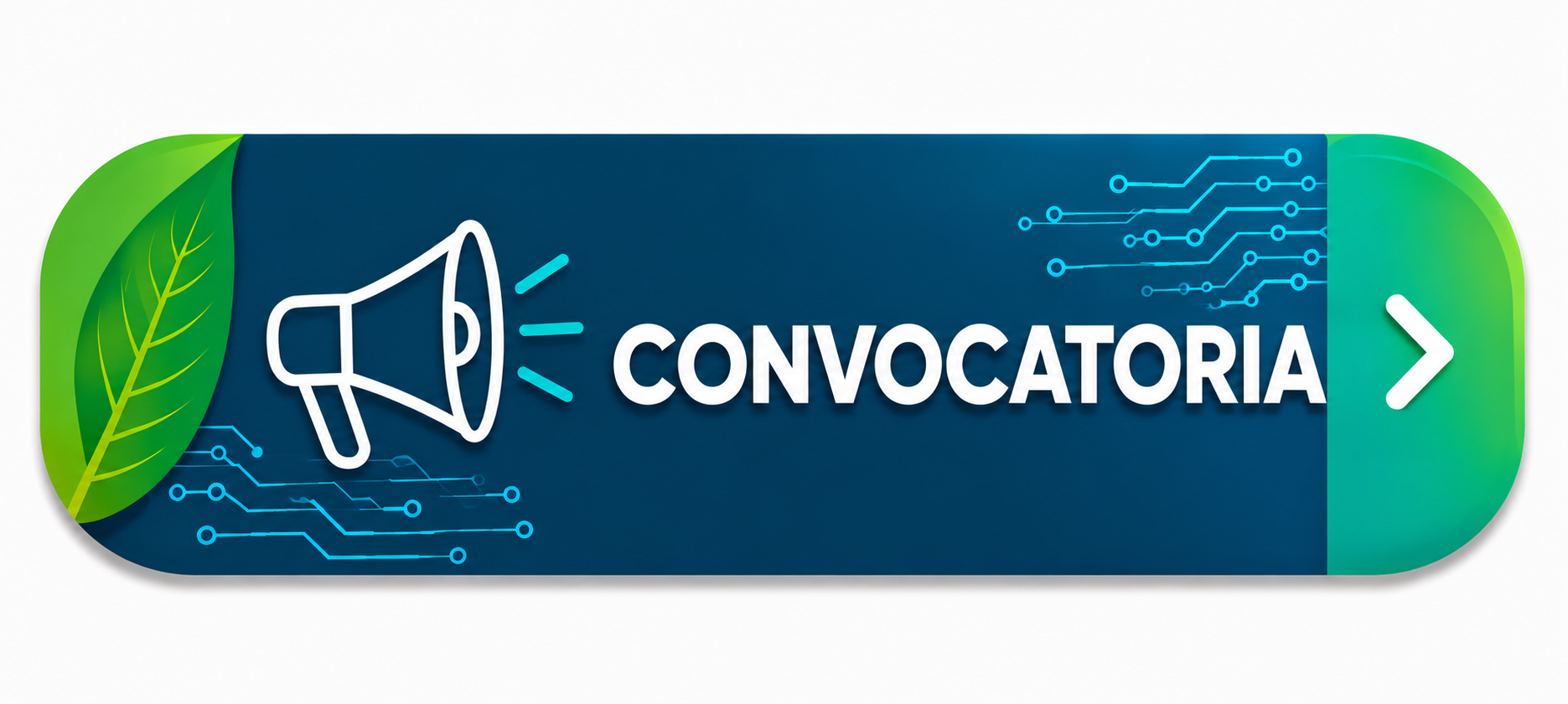Convocatoria