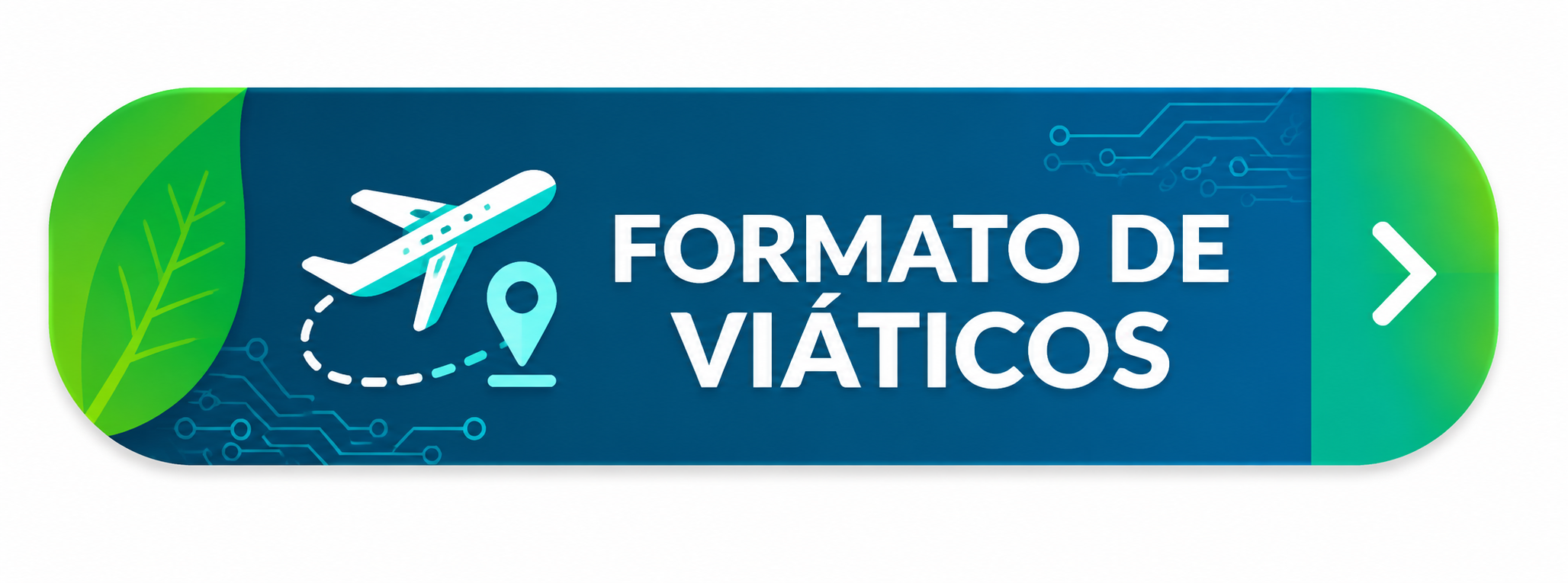 Formato de viáticos