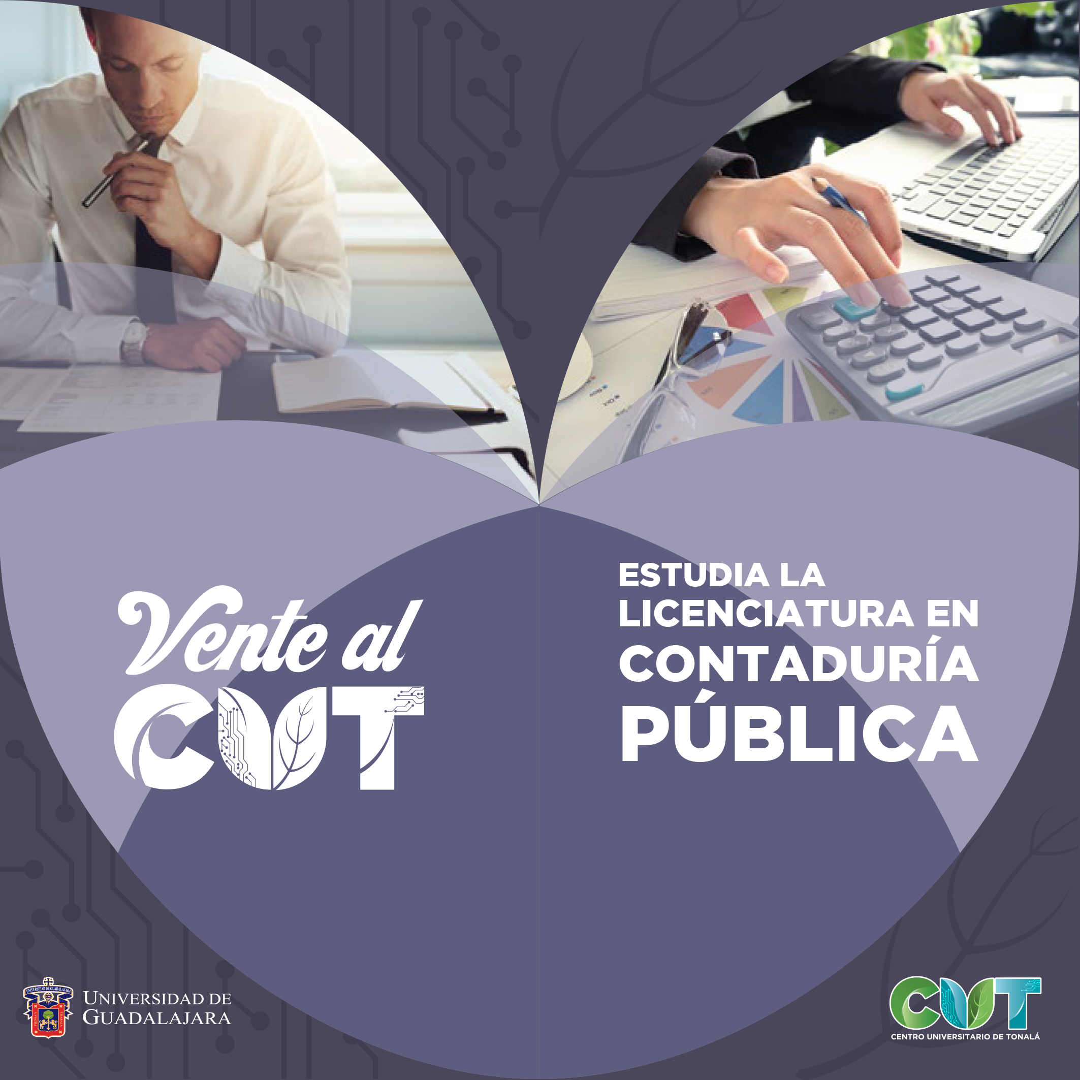 Contaduría Pública